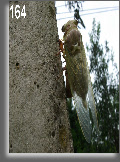wp02a6219e_0f.jpg
