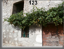wp545fc23d_0f.jpg