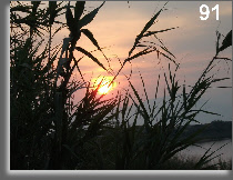 wp5e03cd96_0f.jpg