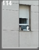 wp9b004f64_0f.jpg