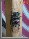 wpc4957188_0f.jpg