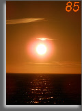 wpf32d59e3_0f.jpg