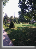 wpf5263006_0f.jpg